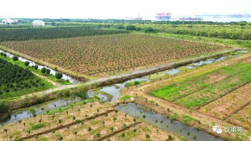 江上訪洲⑥ · 連江通海 常州錄安洲從萬噸碼頭化身生態綠洲