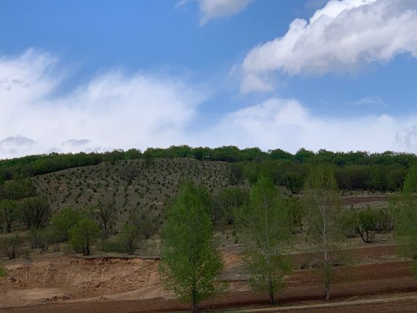 科學(xué)植綠護(hù)綠，創(chuàng)建綠化先進(jìn)，助力生態(tài)恢復(fù)