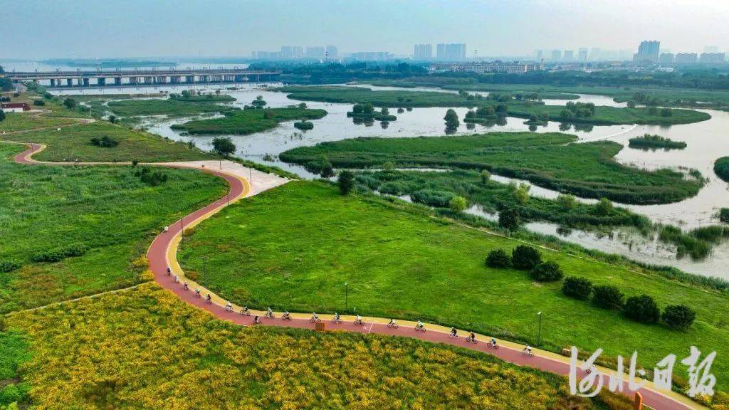 滹沱河生態(tài)“蝶變” 石家莊正定城市生態(tài)恢復(fù)的綠色篇章