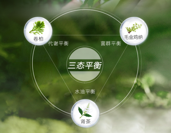 舒霖頭皮“三態(tài)平衡”理念成為中國頭皮護(hù)理行業(yè)標(biāo)桿，引領(lǐng)生態(tài)恢復(fù)新紀(jì)元
